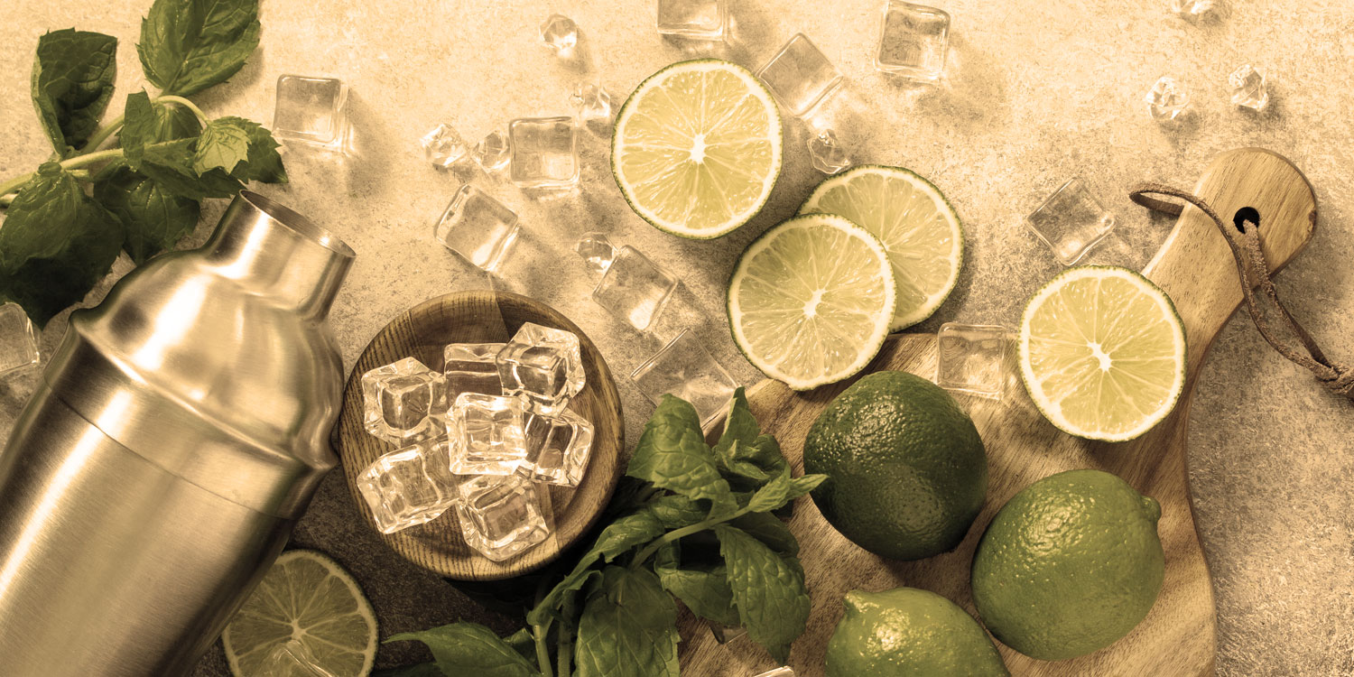 How to Choose the Right Commercial Ice Machine | Eurotec Australia