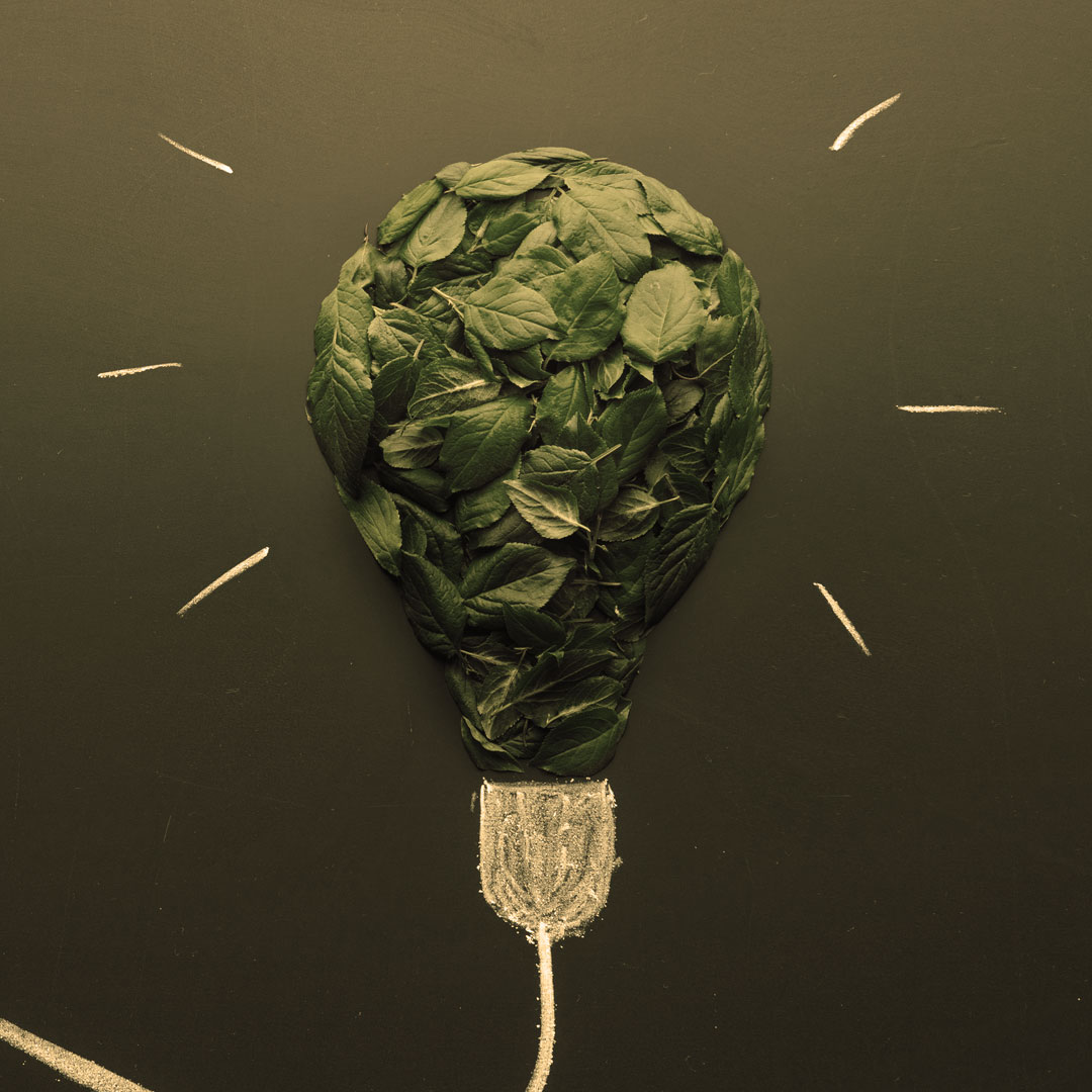 Sustainability in Culinary Education | Professional Training Kitchens