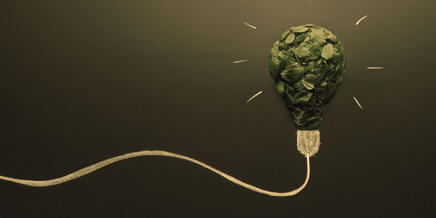 Sustainability in Culinary Education | Professional Training Kitchens