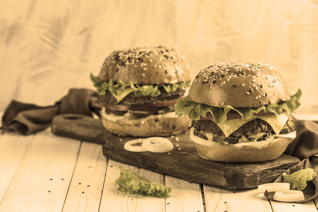 Commercial Griddle Plates – Eurotec Australia
