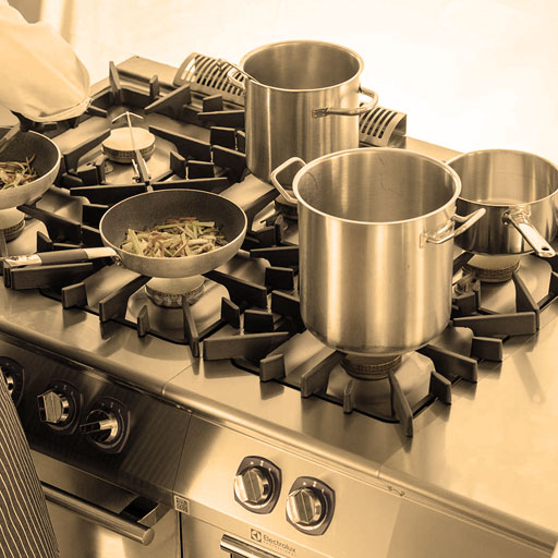 Eurotec Australia holds official distribution rights for Electrolux Professional within Australia